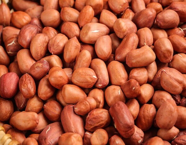 Raw Material Peanuts